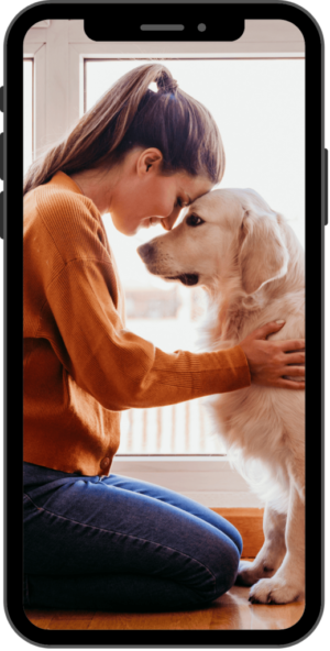 MonnPet – Uma maneira mais em conta de proteger seu amigo MonnPet – Uma maneira mais em conta de proteger seu amigo