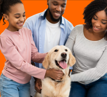 MonnPet – Uma maneira mais em conta de proteger seu amigo MonnPet – Uma maneira mais em conta de proteger seu amigo