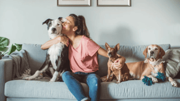 MonnPet – Uma maneira mais em conta de proteger seu amigo MonnPet – Uma maneira mais em conta de proteger seu amigo